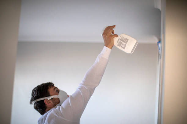 Best Emergency Mold Remediation in Manteno, IL