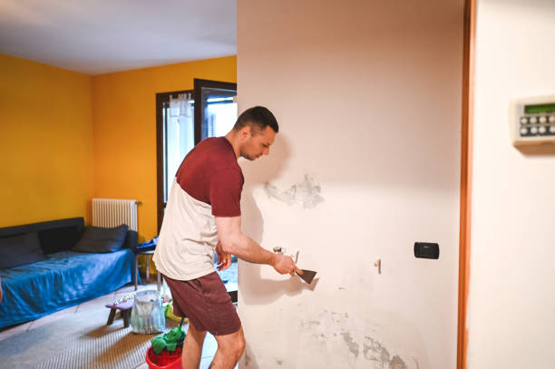 Best Attic Mold Remediation in Manteno, IL